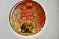 Coaster Magnético Cuepoxy -Luciago