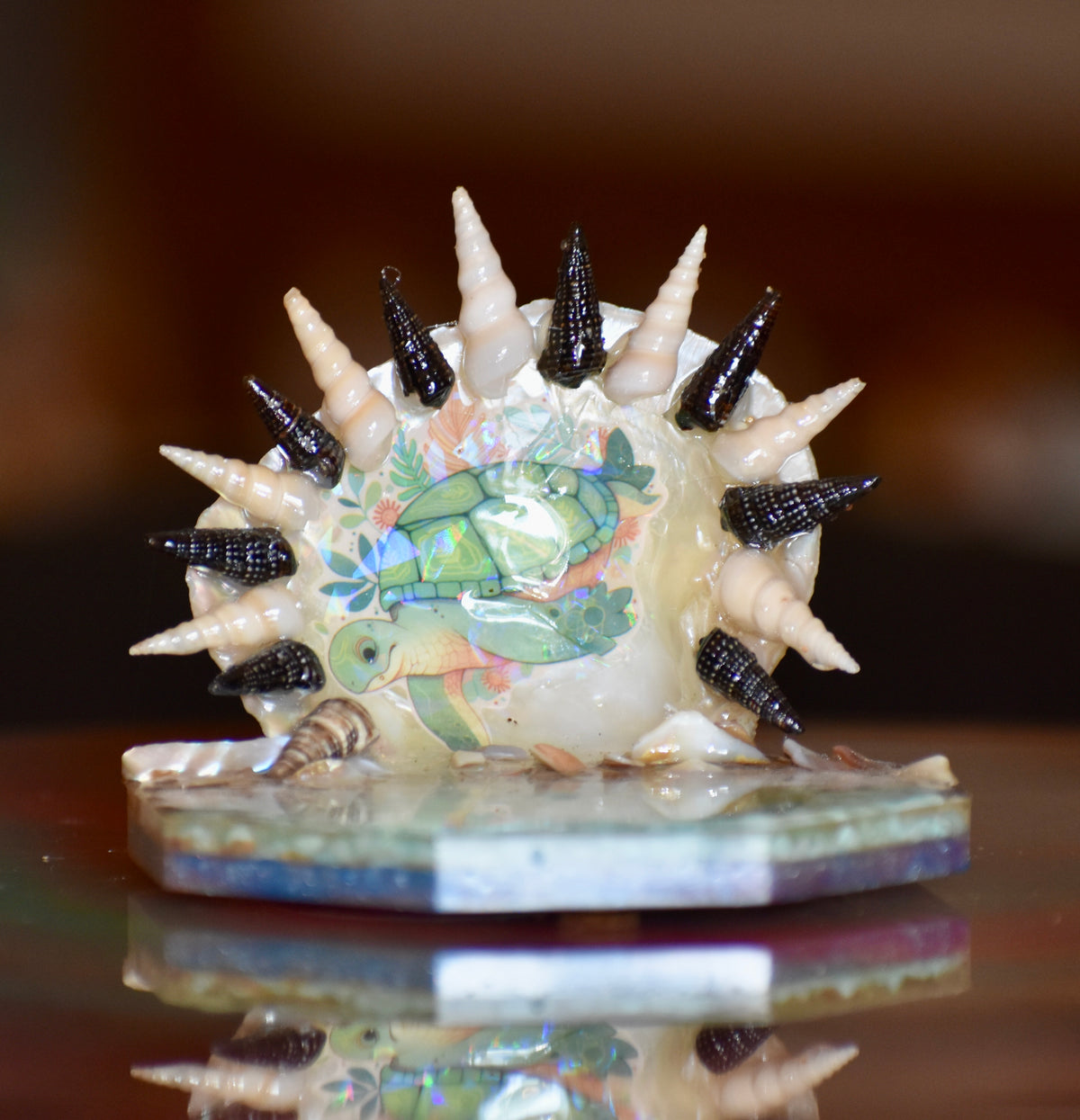 Colección Especial Cuepoxy — Wave·Reef