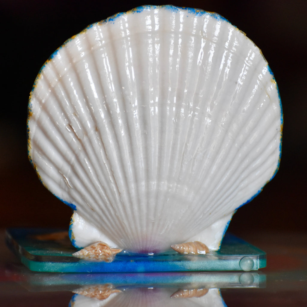 Colección Especial Cuepoxy — Wave·Craft
