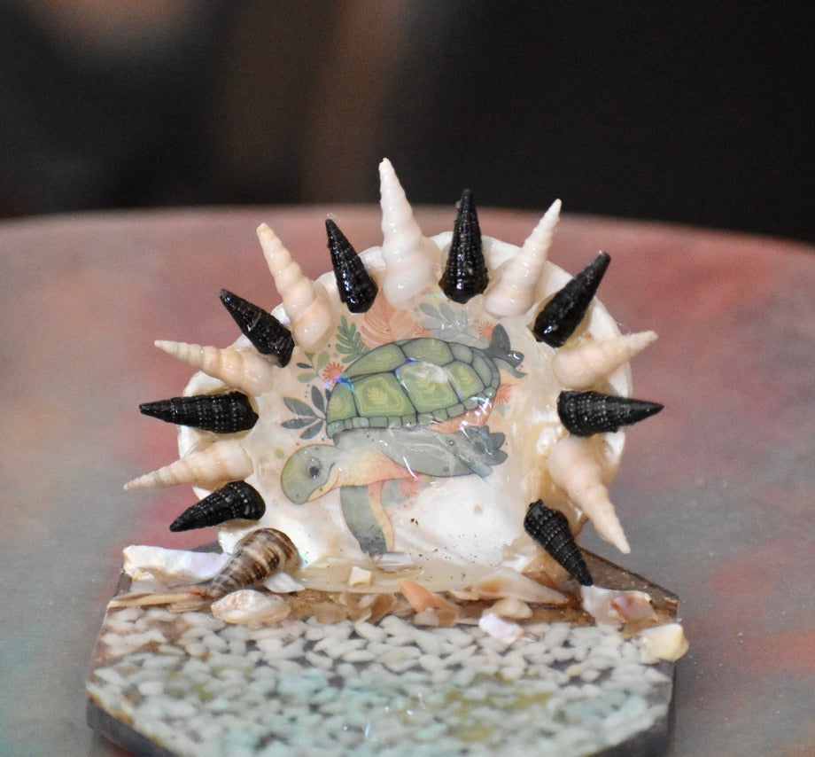 Colección Especial Cuepoxy — Wave·Reef