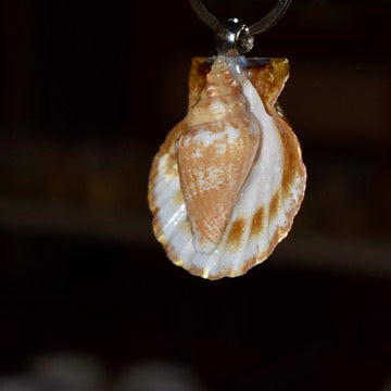 Llavero Cuepoxy –  Concha acaracolada