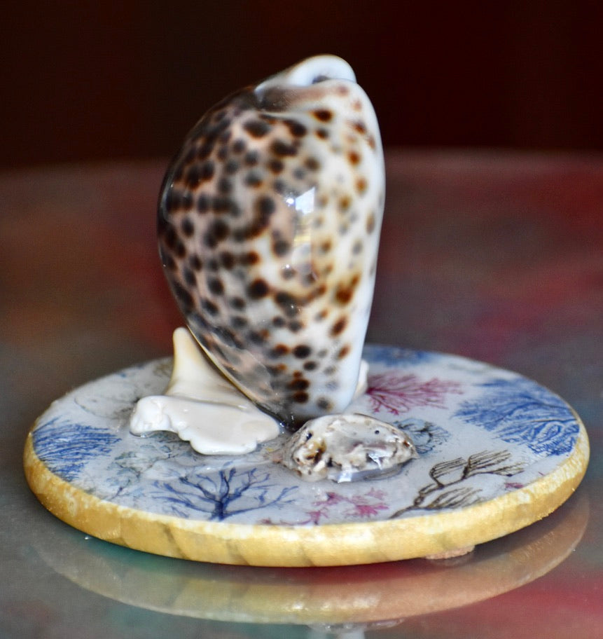 Colección Especial Cuepoxy — Tidal·Art