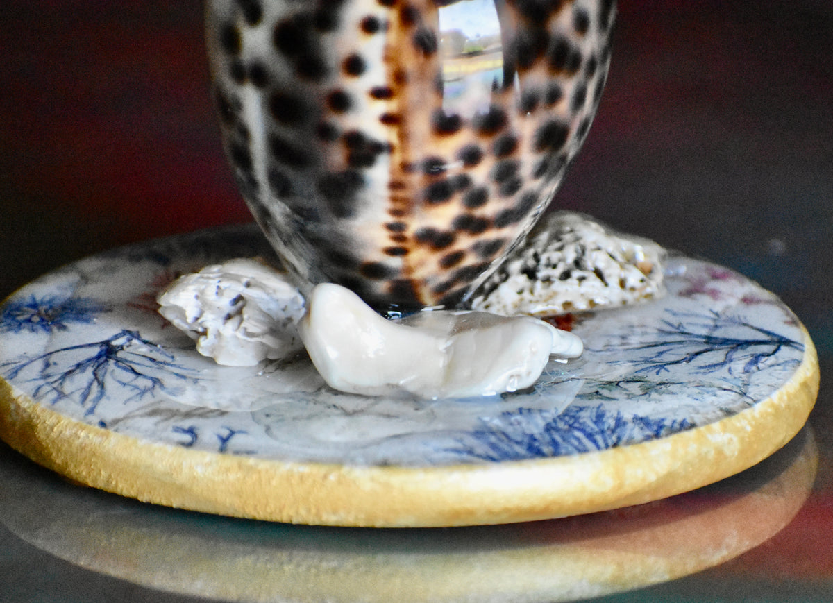 Colección Especial Cuepoxy — Tidal·Art