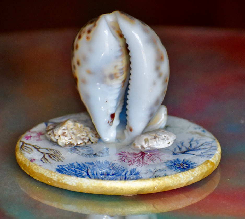 Colección Especial Cuepoxy — Tidal·Art