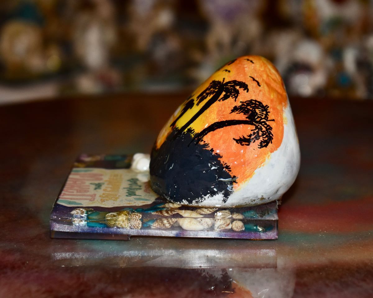 Piedra de Río Cuepoxy – Florida Dolfin