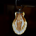 Llavero Cuepoxy –  Concha acaracolada