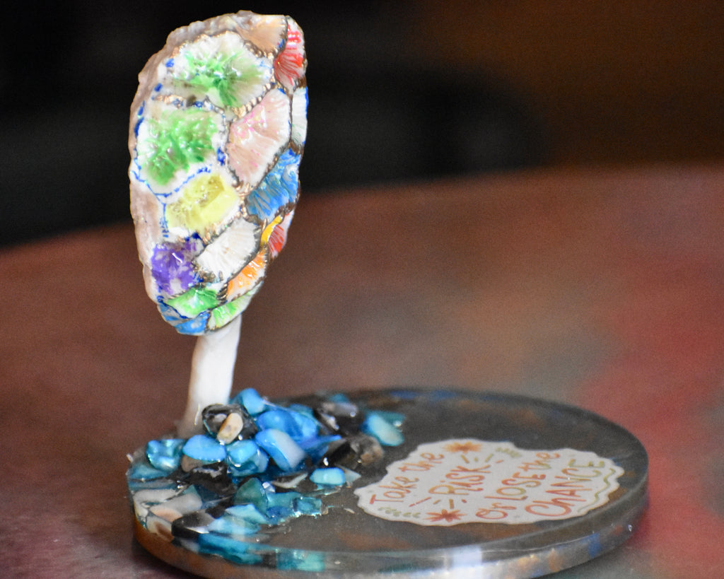 Colección Especial Cuepoxy — Mare·Reef