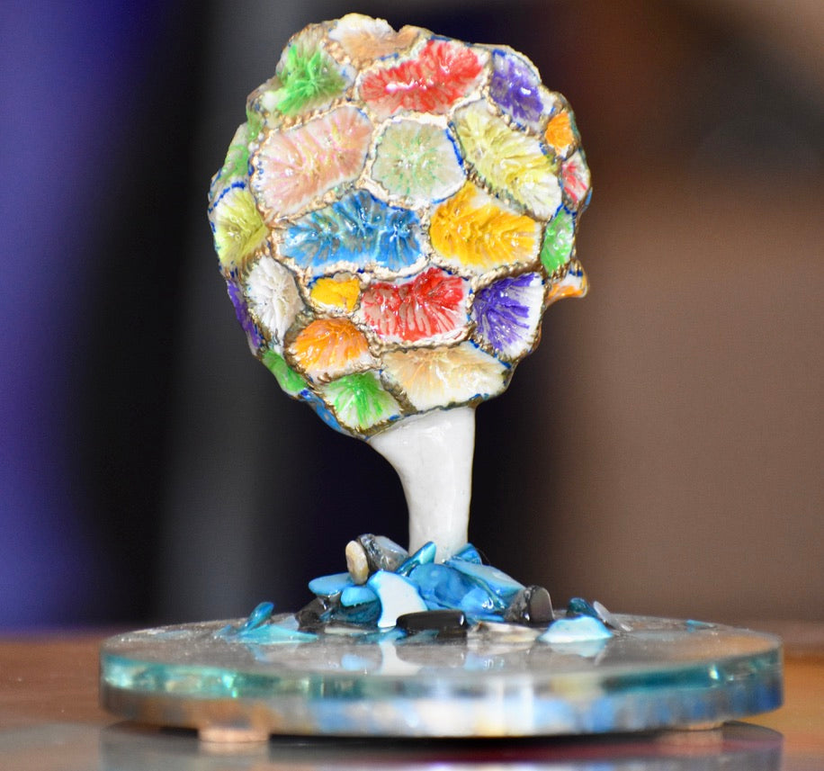 Colección Especial Cuepoxy — Mare·Reef
