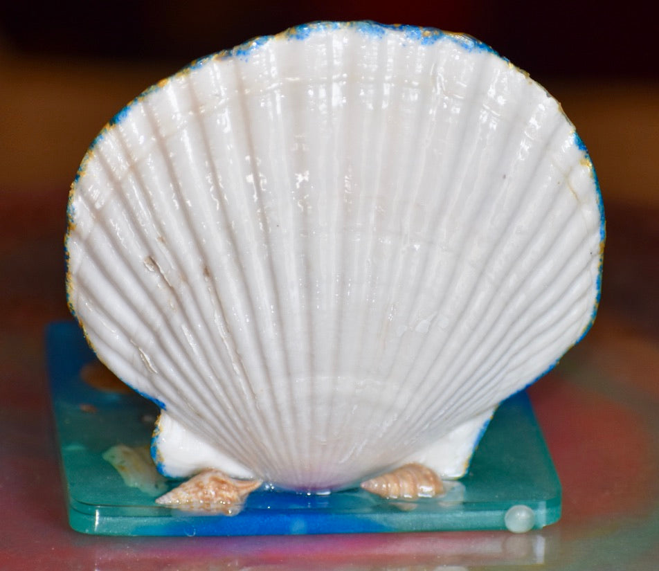 Colección Especial Cuepoxy — Wave·Craft