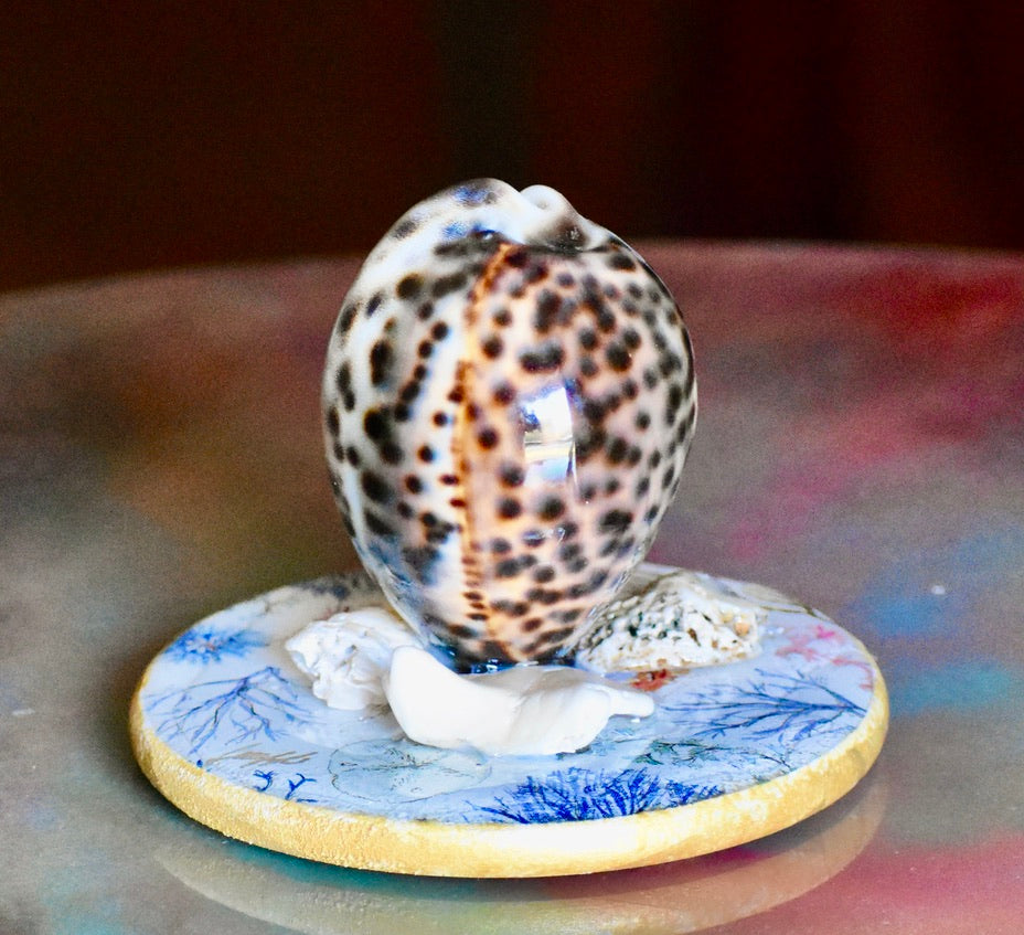 Colección Especial Cuepoxy — Tidal·Art