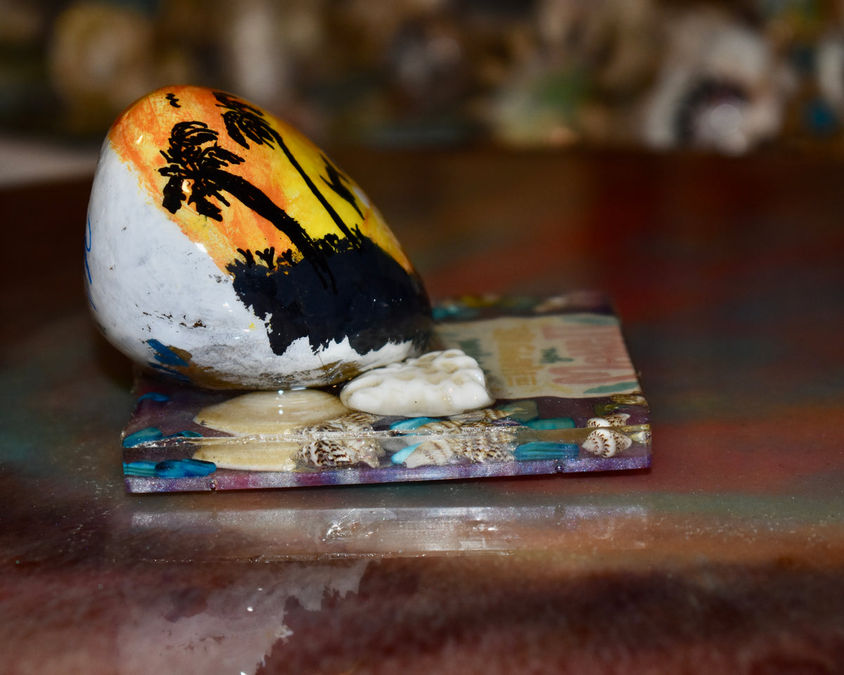 Piedra de Río Cuepoxy – Florida Dolfin
