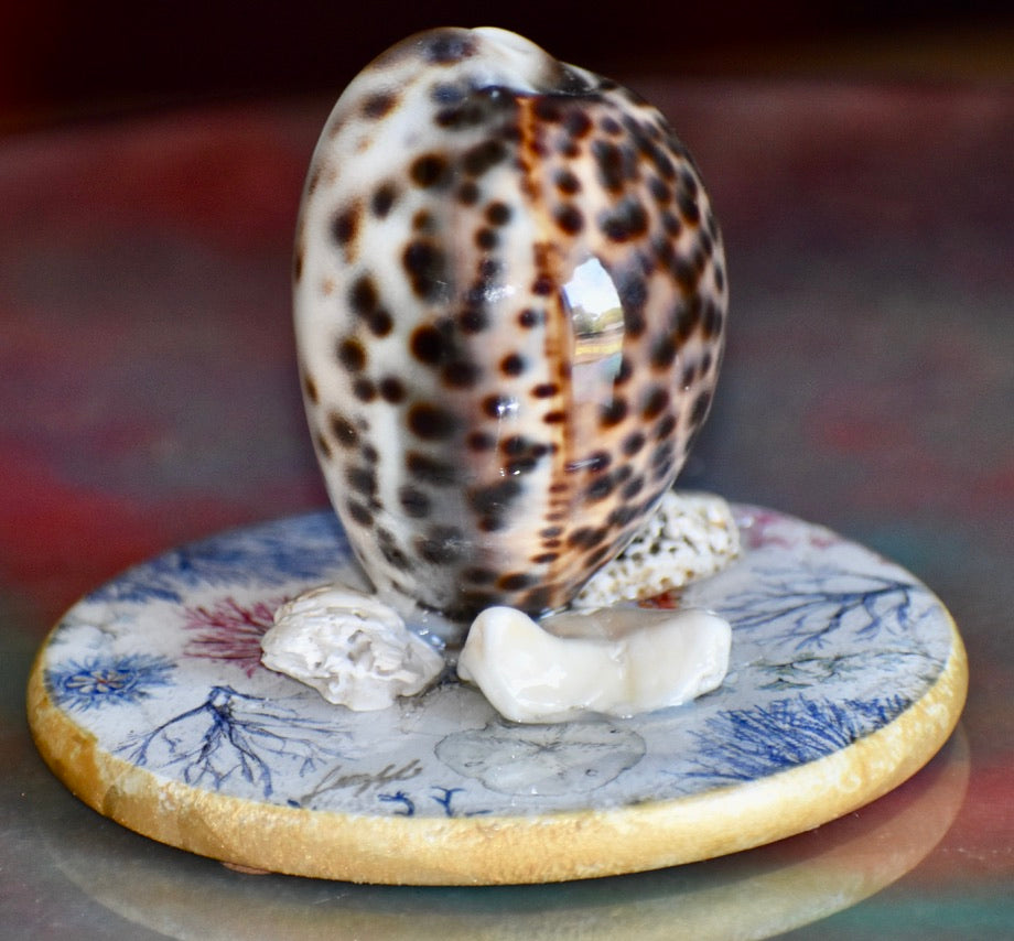 Colección Especial Cuepoxy — Tidal·Art