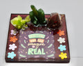 Gifts that Heal · Series #223398