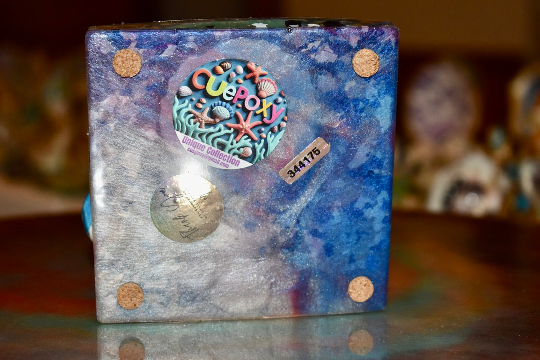Piedra de Río Cuepoxy – Playas USA