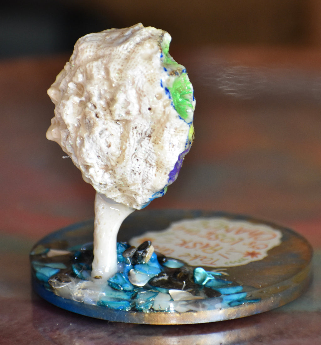 Colección Especial Cuepoxy — Mare·Reef