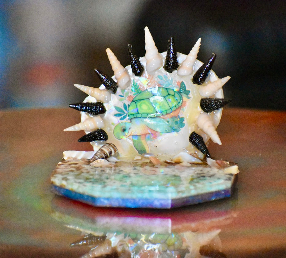 Colección Especial Cuepoxy — Wave·Reef