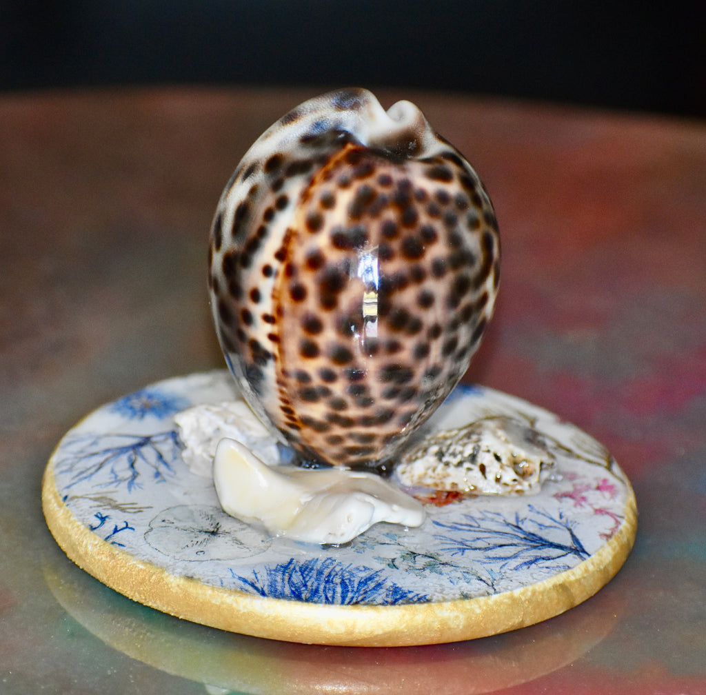 Colección Especial Cuepoxy — Tidal·Art
