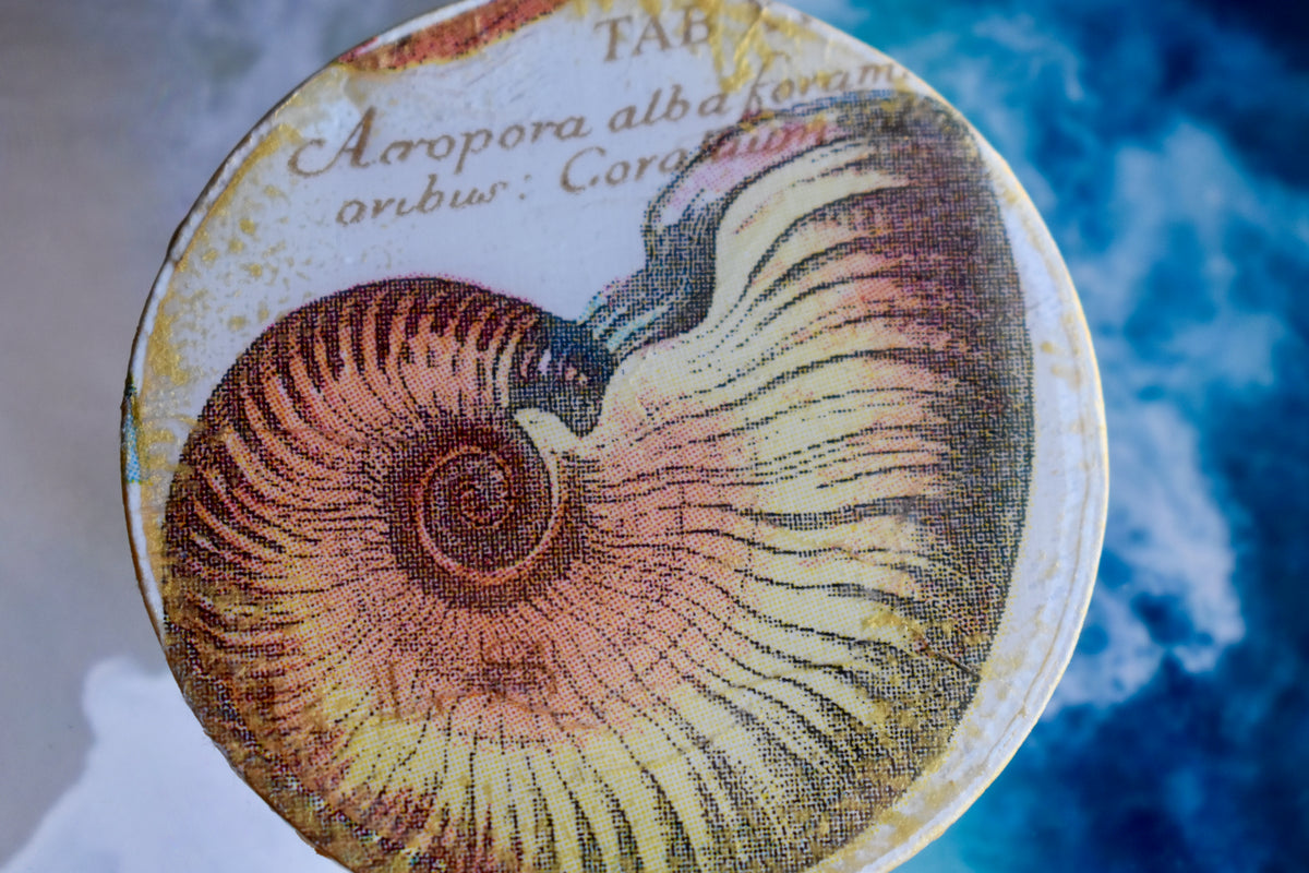 Abridor Magnético Artesanal Cuepoxy –Fosil colorido