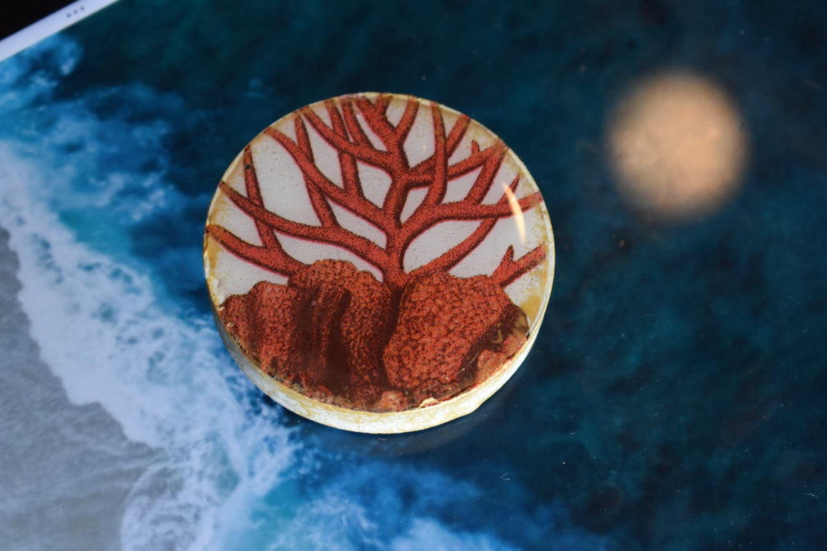 Abridor Magnético Artesanal Cuepoxy –Algueta Roja