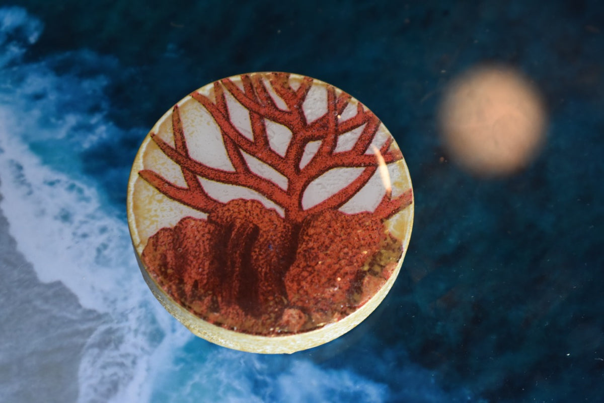 Abridor Magnético Artesanal Cuepoxy –Coral Rojo
