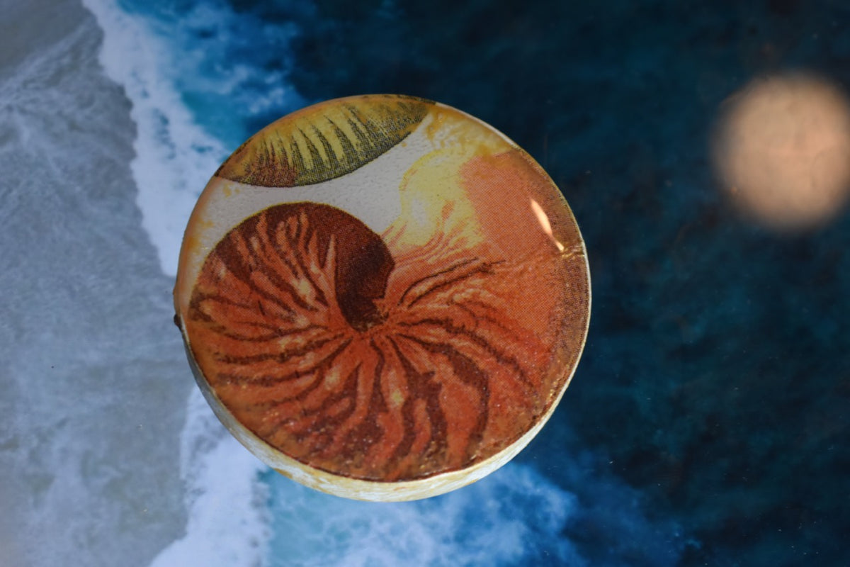 Abridor Magnético Artesanal Cuepoxy –El Macao Rojo