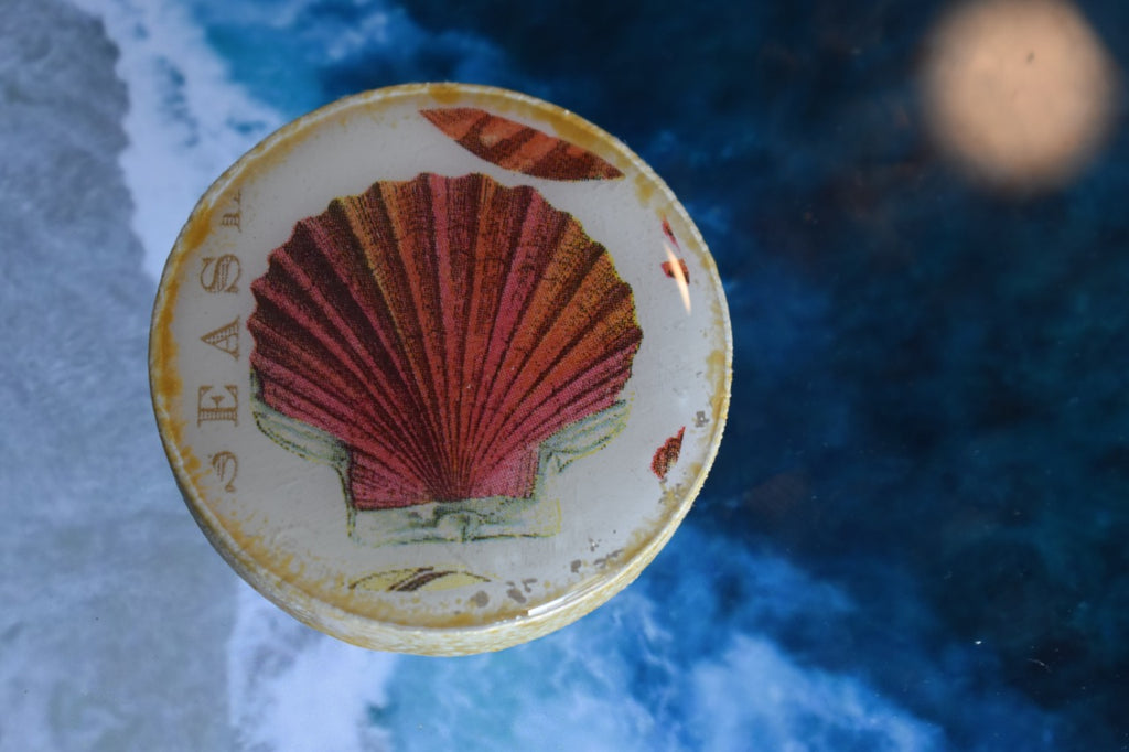Abridor Magnético Artesanal Cuepoxy –concha de la orilla