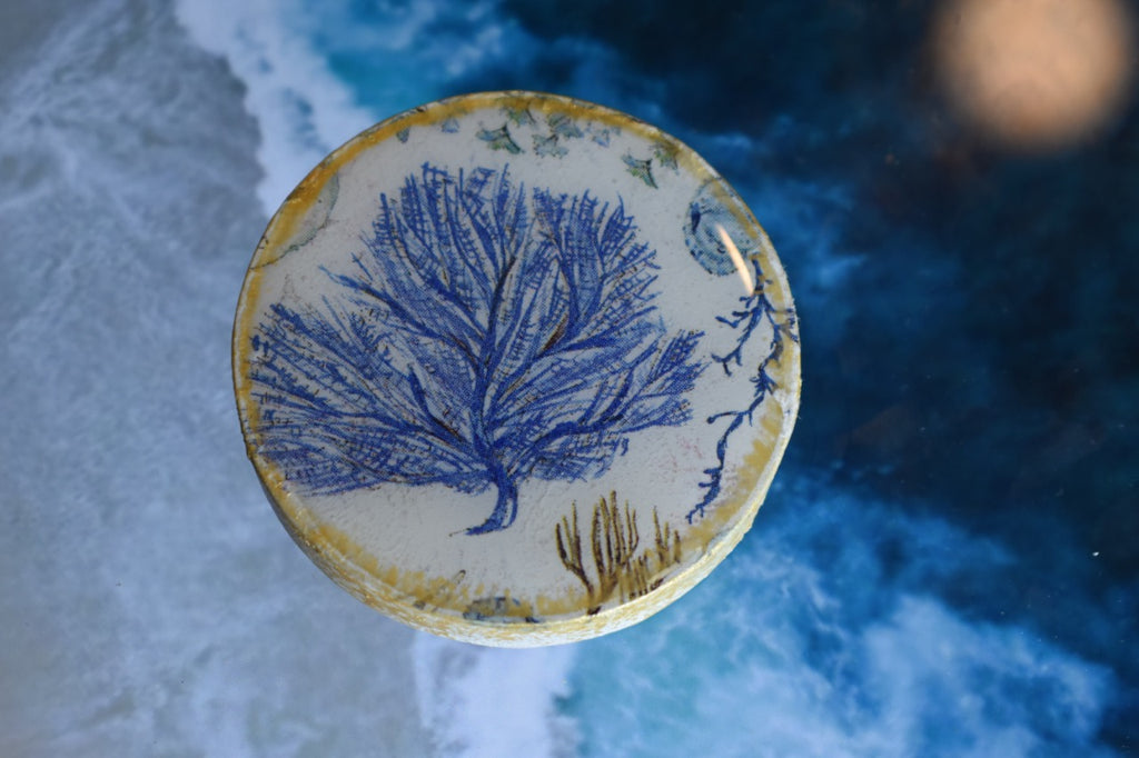Abridor Magnético Artesanal Cuepoxy –Coral Azul