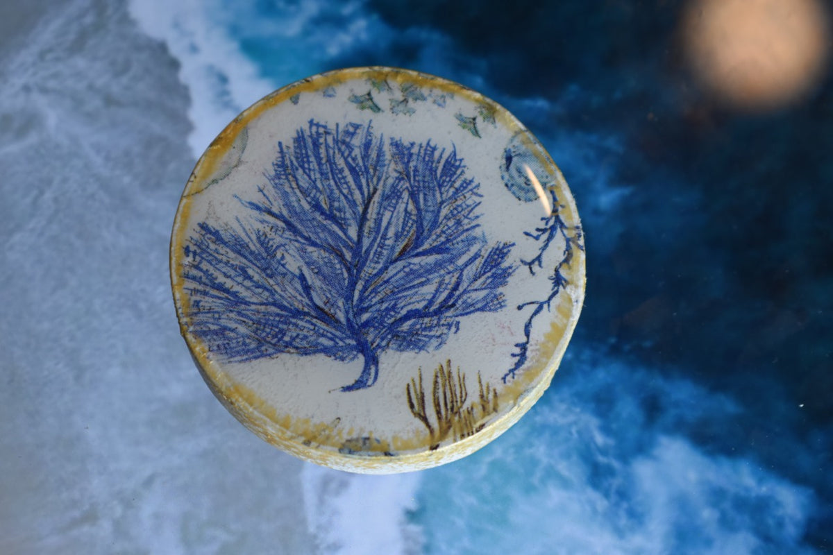 Abridor Magnético Artesanal Cuepoxy –Coral Azul