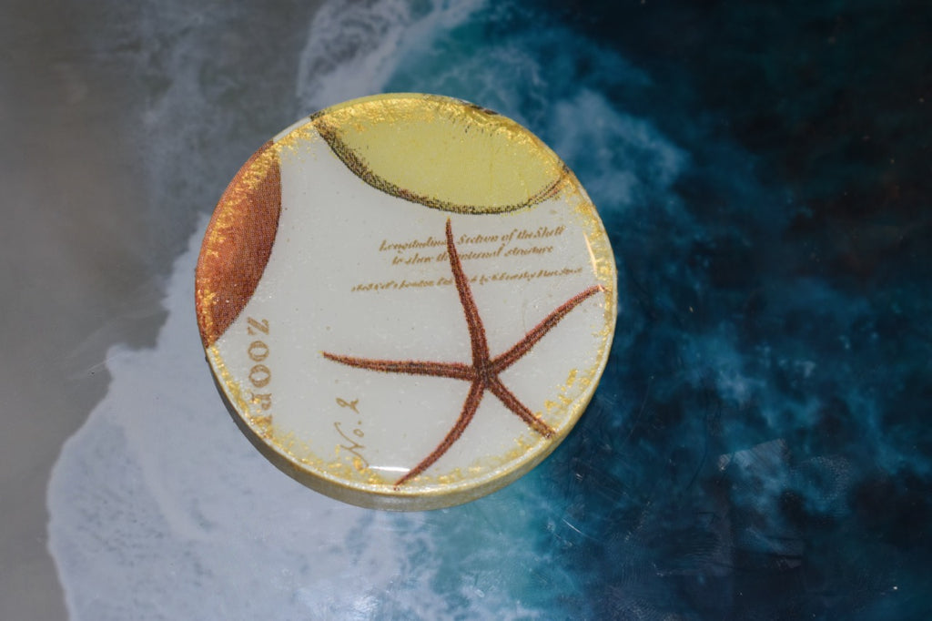 Abridor Magnético Artesanal Cuepoxy –Estrellitas del mar