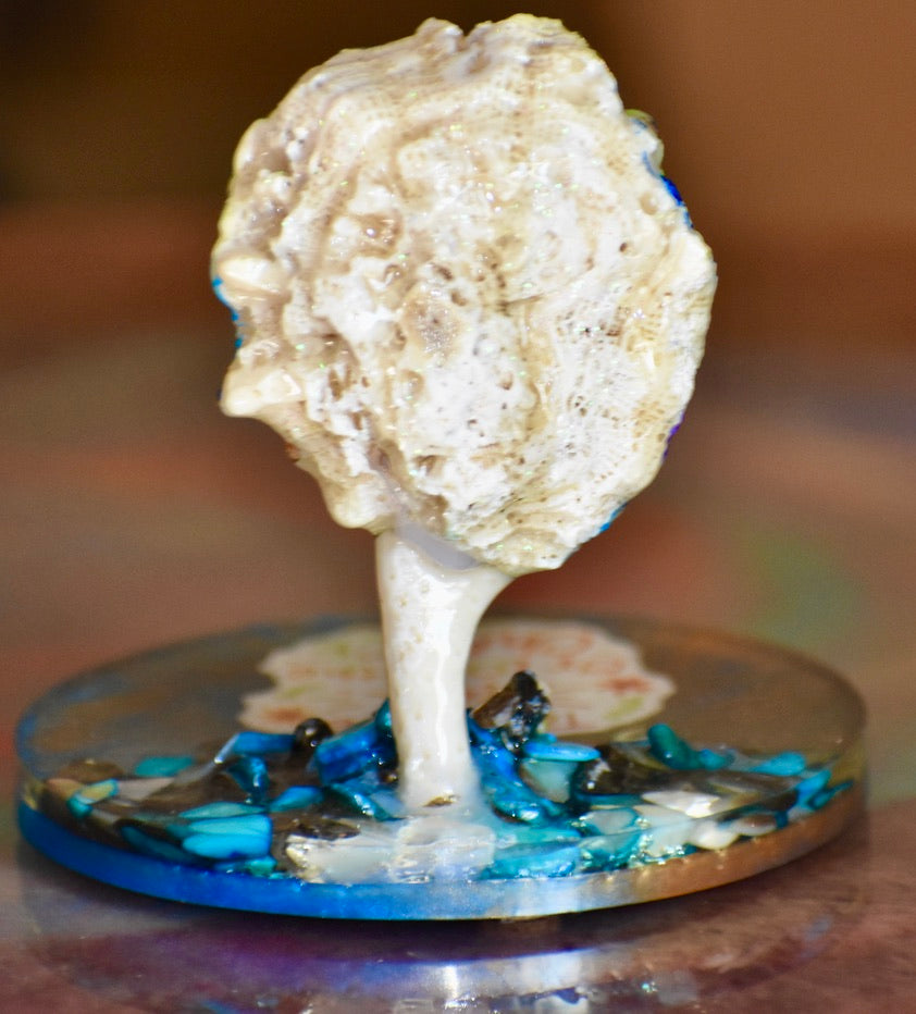 Colección Especial Cuepoxy — Mare·Reef