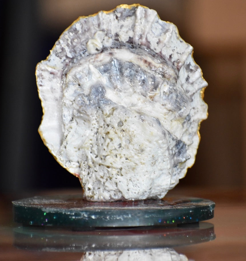 Colección Especial Cuepoxy — Ocean·Tide